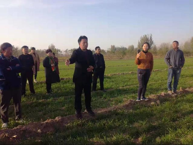 強征土地的應(yīng)對策略有哪些？