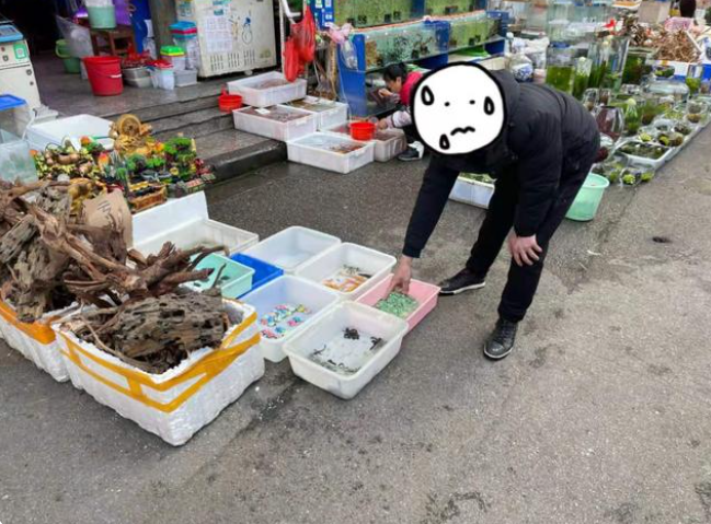當(dāng)街售賣國(guó)家二級(jí)保護(hù)動(dòng)物犯什么罪？
