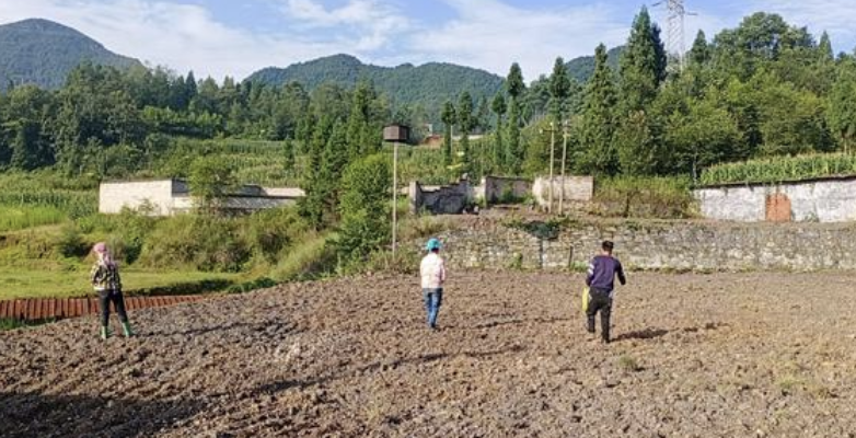 農村土地流轉國家補償標準都包括什么?