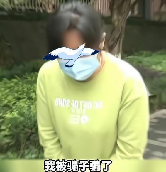 律師解讀：40歲的單親媽媽，網(wǎng)戀被騙15萬(wàn)元