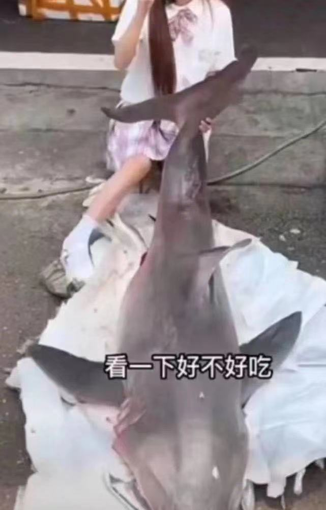 百萬粉絲網(wǎng)紅烹食鯊魚被調(diào)查!警方回應(yīng):是瀕危野生動物噬人鯊 百萬粉絲網(wǎng)紅烹食鯊魚被調(diào)查!警方回應(yīng):是瀕危野生動物噬人鯊