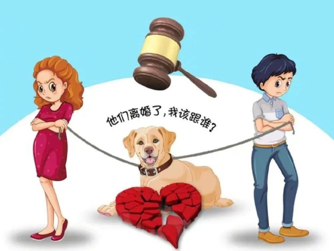 夫妻離婚不爭車房只爭寵物狗，法院這份判決有新意！