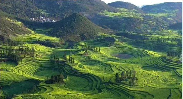 1000畝山林被鄰村強占，京云<a href=http://www.5m1q76o.cn/team/ target=_blank class=infotextkey>律師</a>代理成功撤銷土地使用權確權事宜的告知