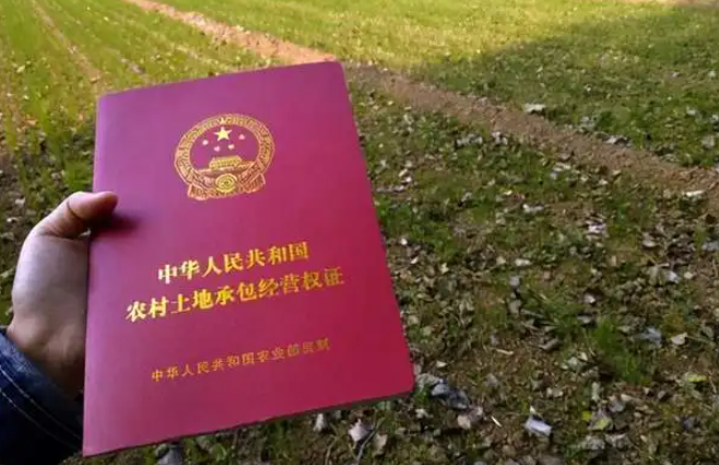 土地確權離婚時怎么解決?