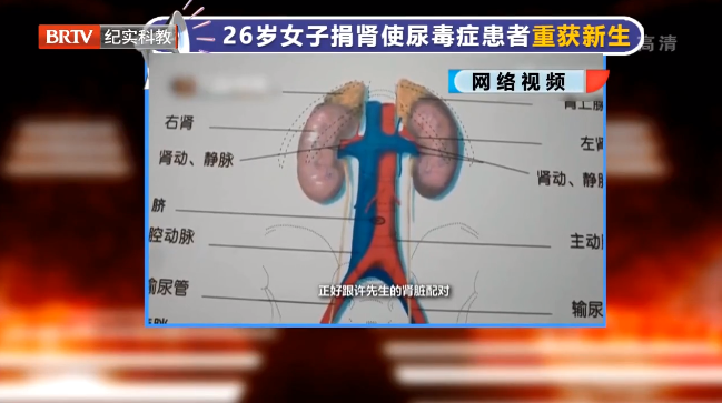 大愛無言！26歲女子捐腎使尿毒癥患者重獲新生，關(guān)于遺體捐獻，看看法律怎么說？