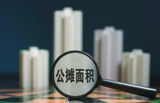 公攤面積過大業主怎么維權