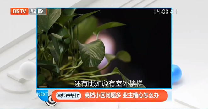 多名業(yè)主購買的豪華別墅收房時“問題百出”該怎么辦？