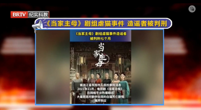 《當家主母》劇組虐貓事件”造謠者被判刑7個月