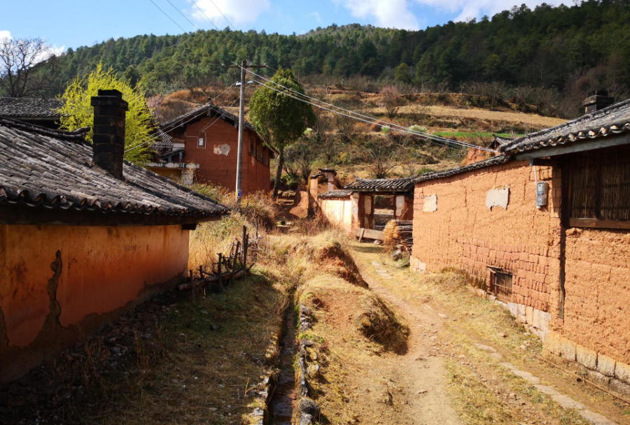 《民法典》涉及農村集體、承包地、宅基地等條文匯總 《民法典》涉及農村集體、承包地、宅基地等條文匯總