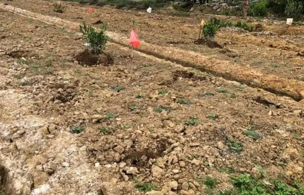 中華人民共和國土地管理法（全文）