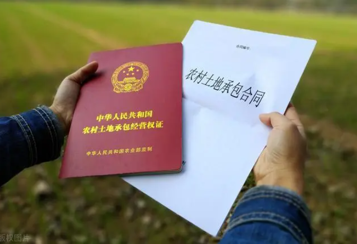 村民向政府申請土地確權被忽視？法院：責令履責！